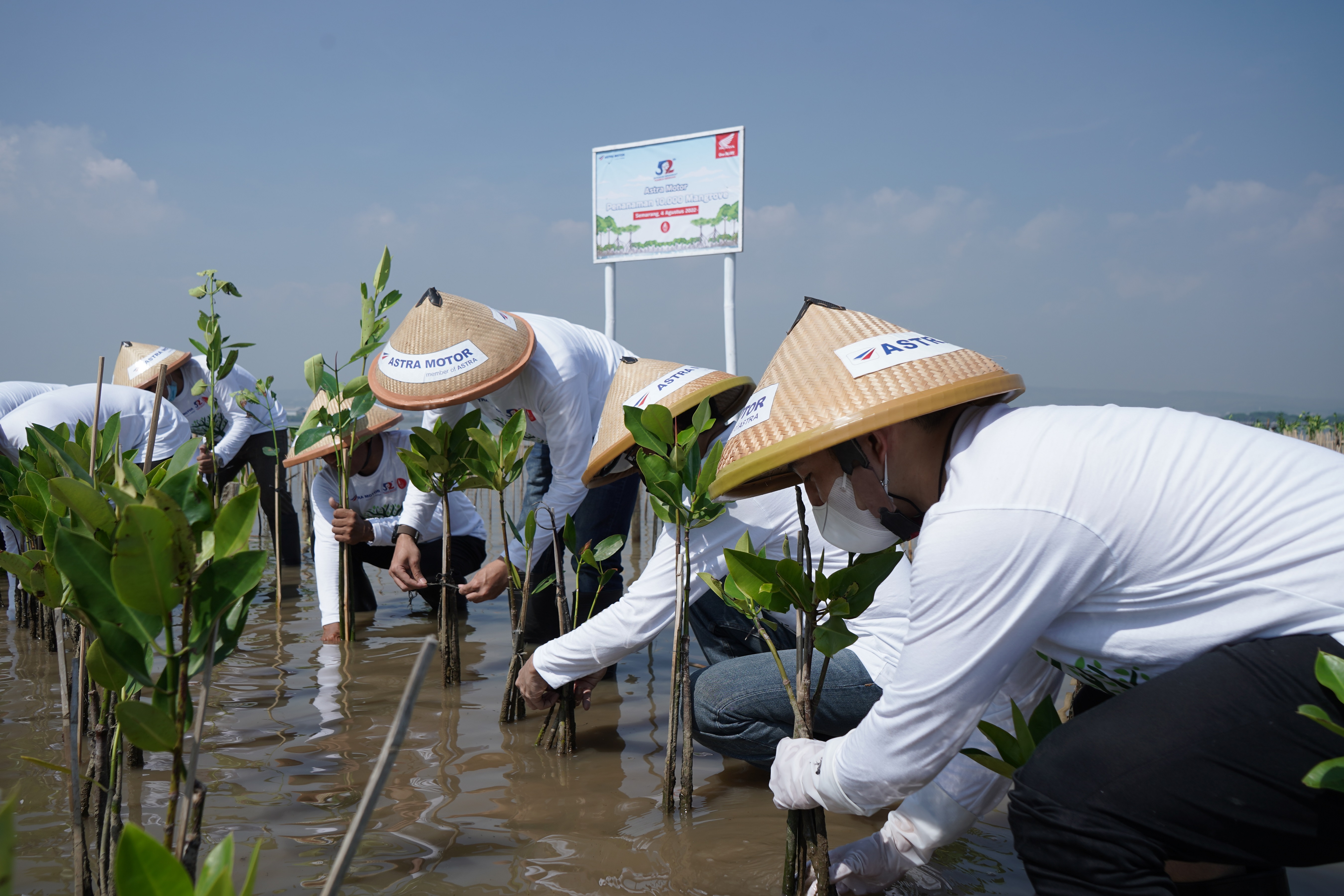 Insan Astra Motor ikut menanam bibit mangrove di pesisir pantai utara Jawa, Mangunharjo